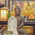 Penang Wesak Day 2025