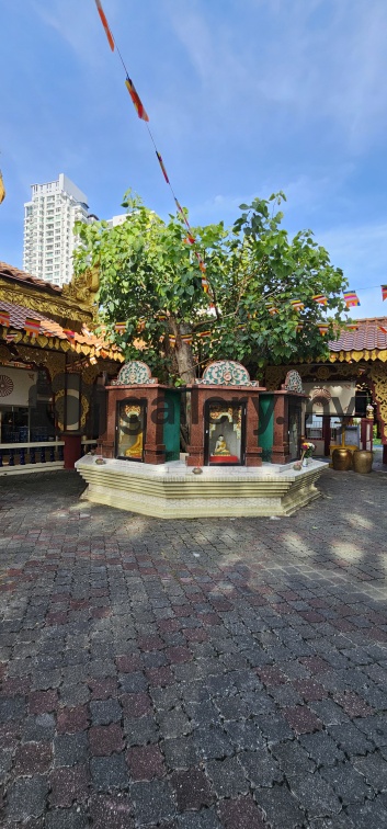 Penang Wesak Day 2025