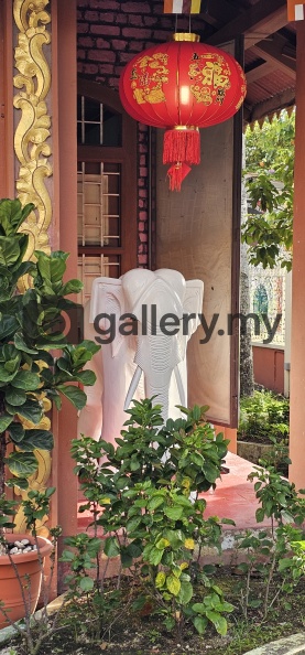 Penang Wesak Day 2025